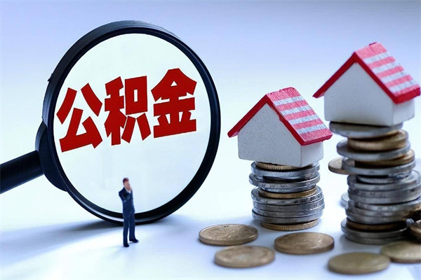 山东辞职取住房公积金（辞职 取公积金）